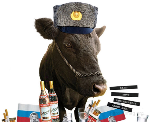 普京拼出口：继伏特加、鱼子酱之后，牛肉成为俄罗斯的代名词